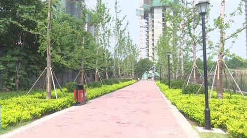 濟(jì)寧鄒城市 綠地建設(shè)重點(diǎn)發(fā)力，噴泉設(shè)計(jì)巧融綠意，民生福祉悄然升級(jí)