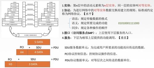 計算機網(wǎng)絡(luò)與網(wǎng)站設(shè)計 構(gòu)建數(shù)字世界的基石