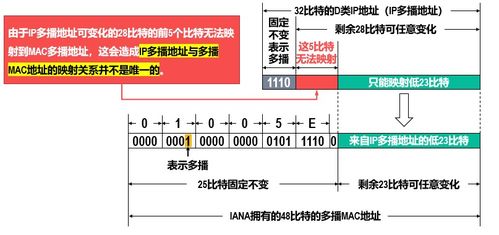 計算機網絡核心 深入剖析網絡層